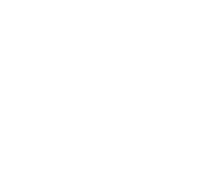 Cesnos logistika